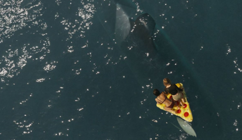 stills 5