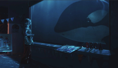 stills6